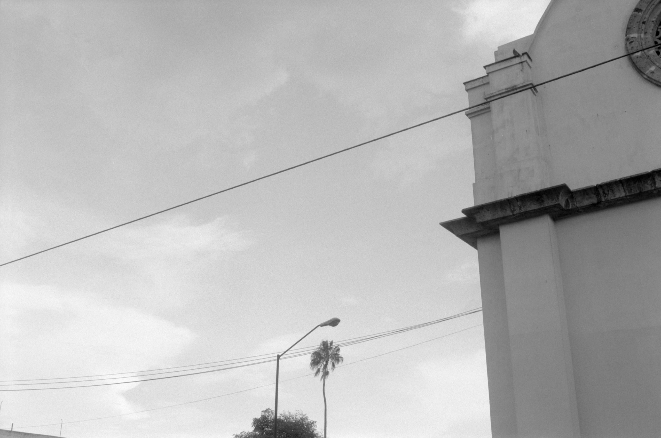 AHP FilmScan 240807 0441